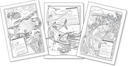 A Very Fishy Colouring Book