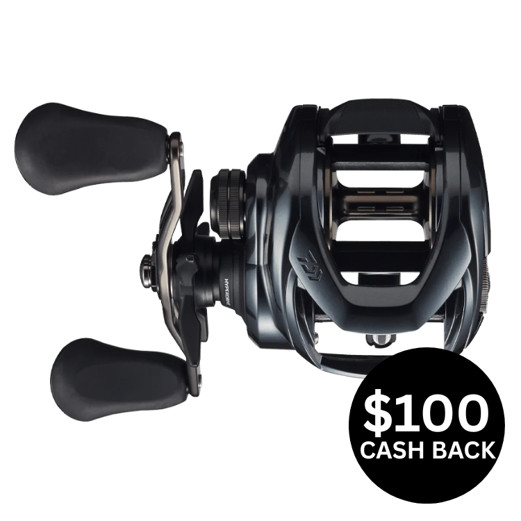 Daiwa 21 TATULA TW 400 Baitcast Fishing Reel