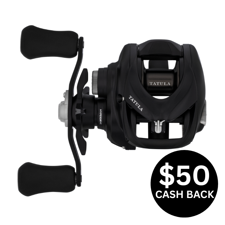 Daiwa 23 TATULA TW 100XH BAITCAST FISHING REEL