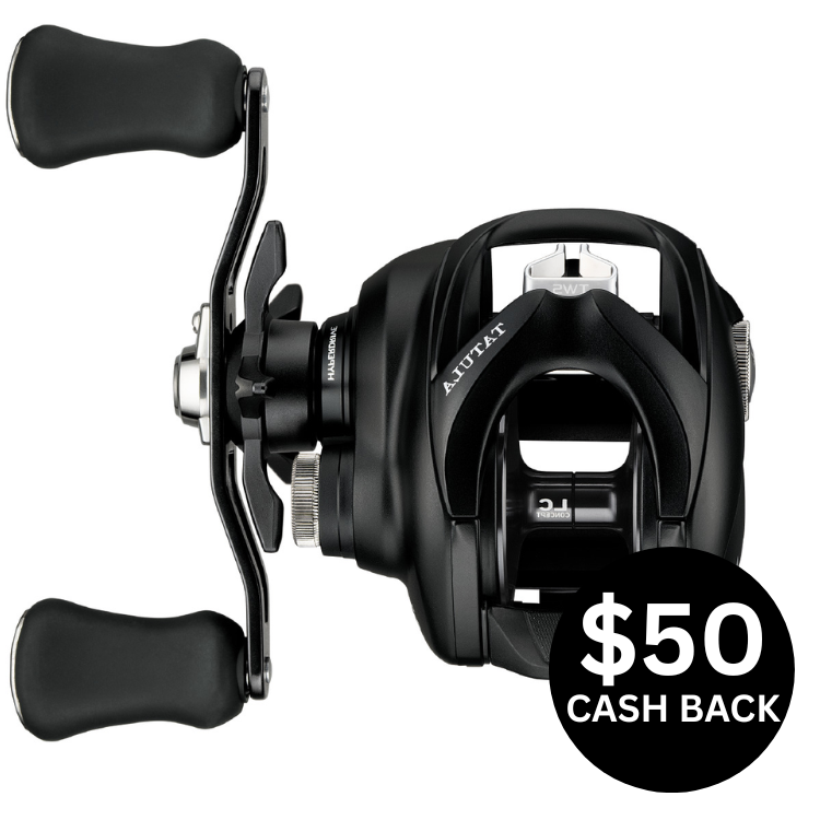 Daiwa 25 Tatula TW 200HL Baitcast Fishing Reel