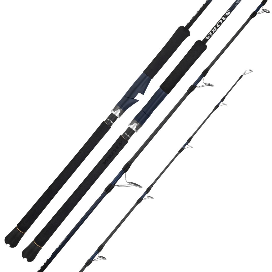 Daiwa Saltiga J Spinning Fishing Rod-Otto's  Tackle World