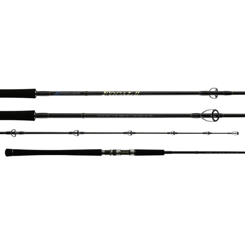 Ocean's Legacy Focal II Spinning Fishing Rod