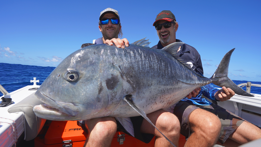 Live Fibre Venom Popping and Stickbaiting Fishing Rods