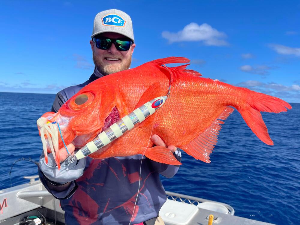 Live Fibre Venom Slow Fall Spinning Fishing Rod