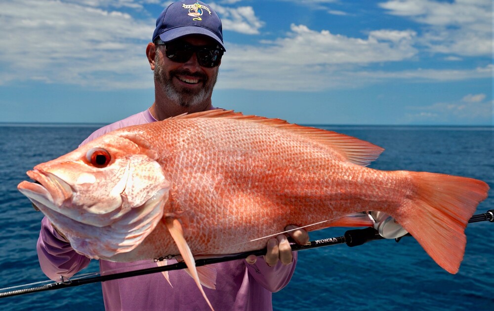 Live Fibre Venom Slow Fall Spinning Fishing Rod