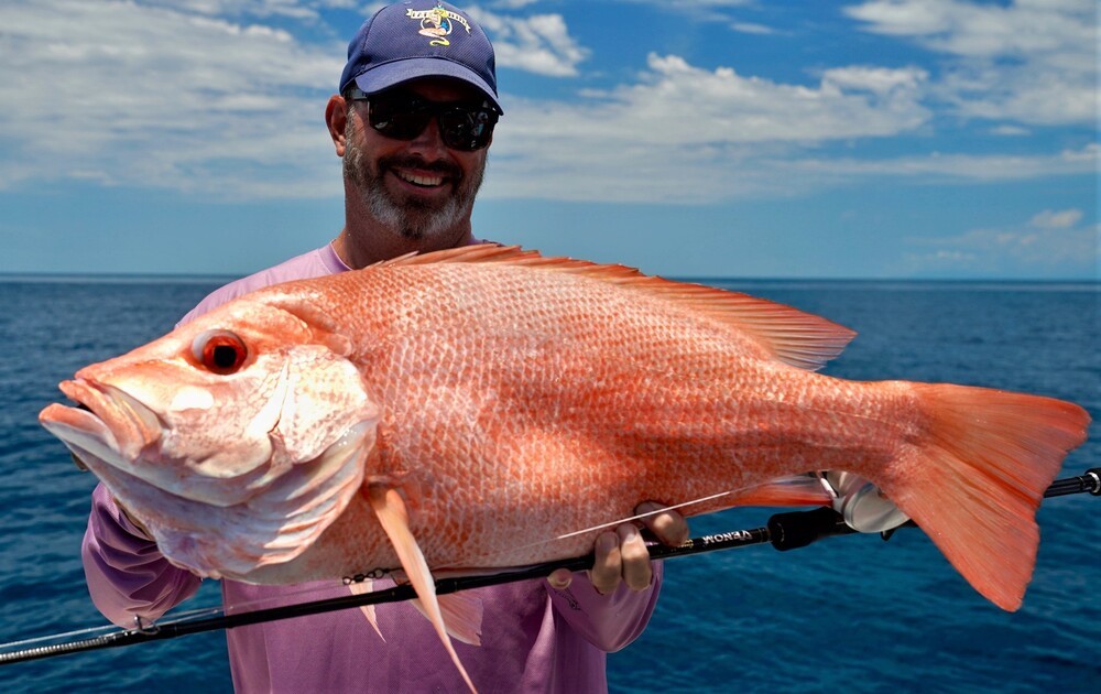 Live Fibre Venom Slow Fall Spinning Fishing Rod