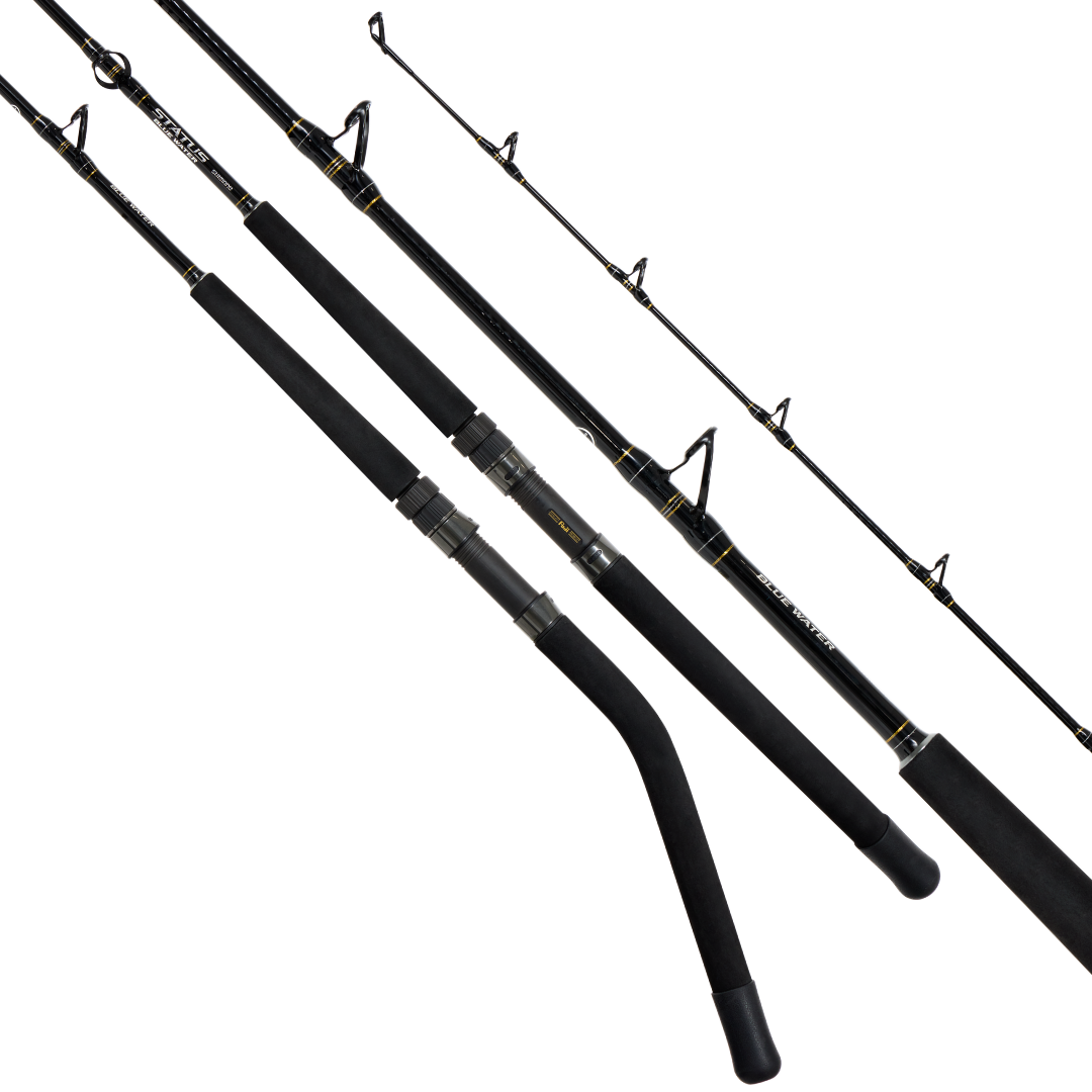 Shimano Status Bluewater Light Deep Drop Fishing Rod 