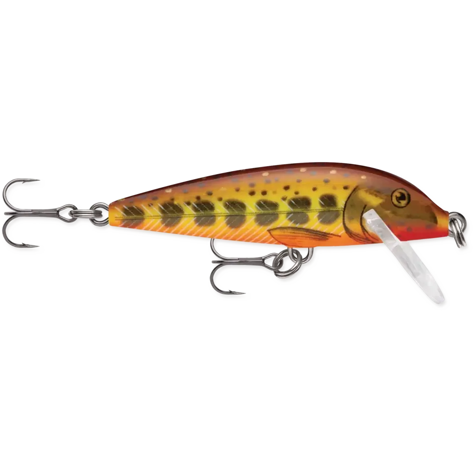 Rapala Countdown Sinking CD05 Hardbody Fishing Lure