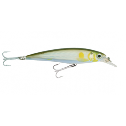 Rapala X-Rap Saltwater SXR10 Hardbody Fishing Lure-Otto's  Tackle World