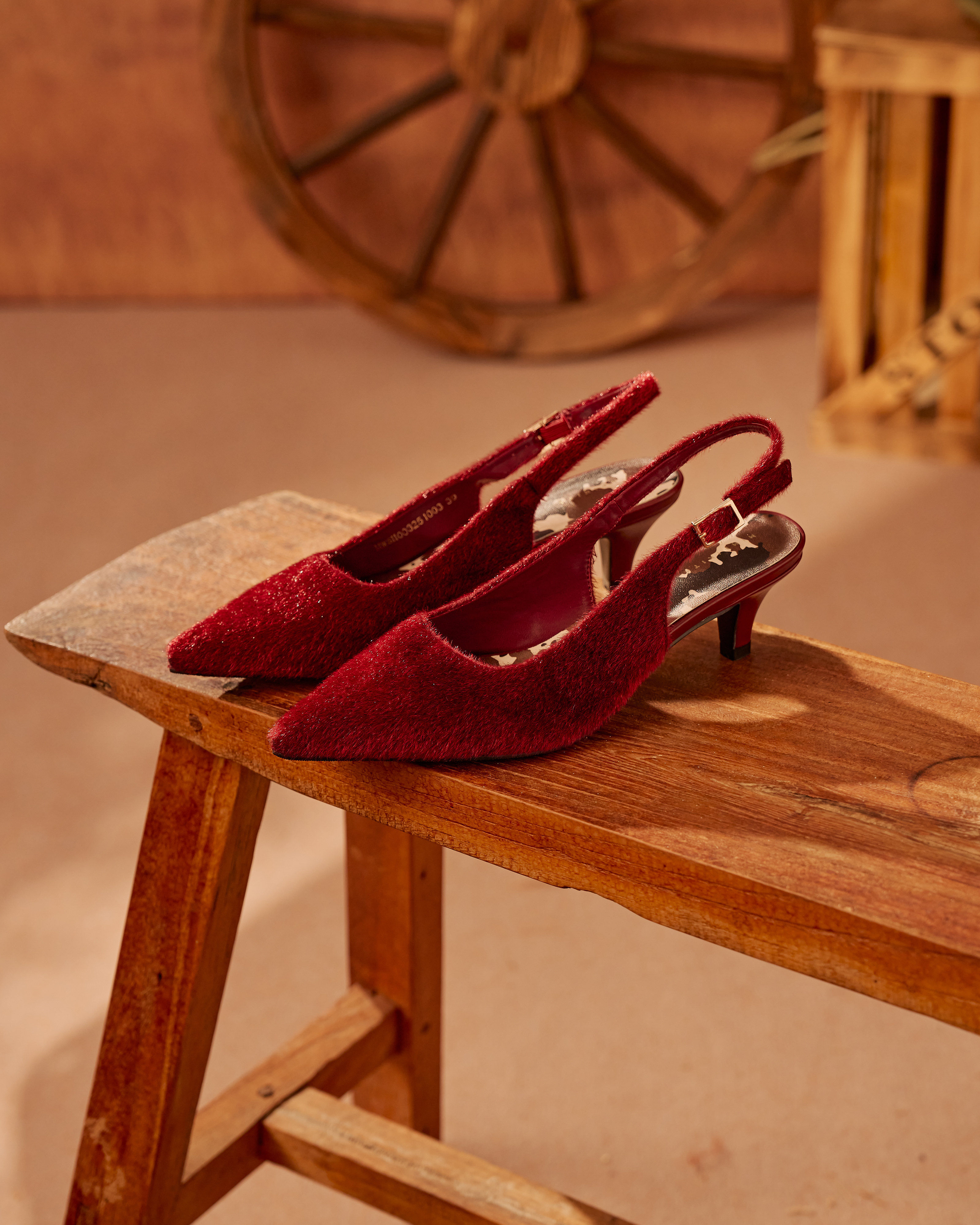 Giselle Pointed-Toe Low Heels