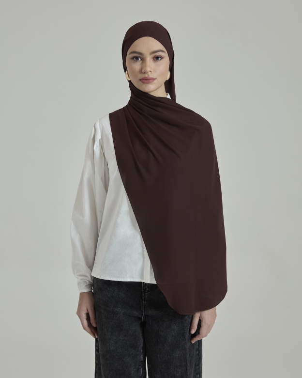 Leya Dark Brown Embroidered Chiffon Shawl