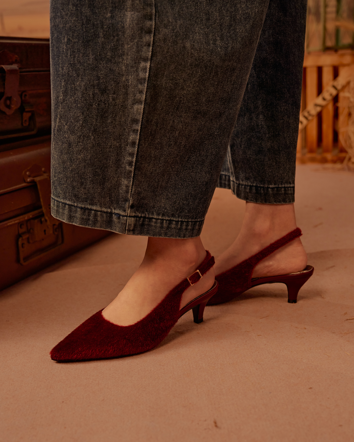 Giselle Pointed-Toe Low Heels