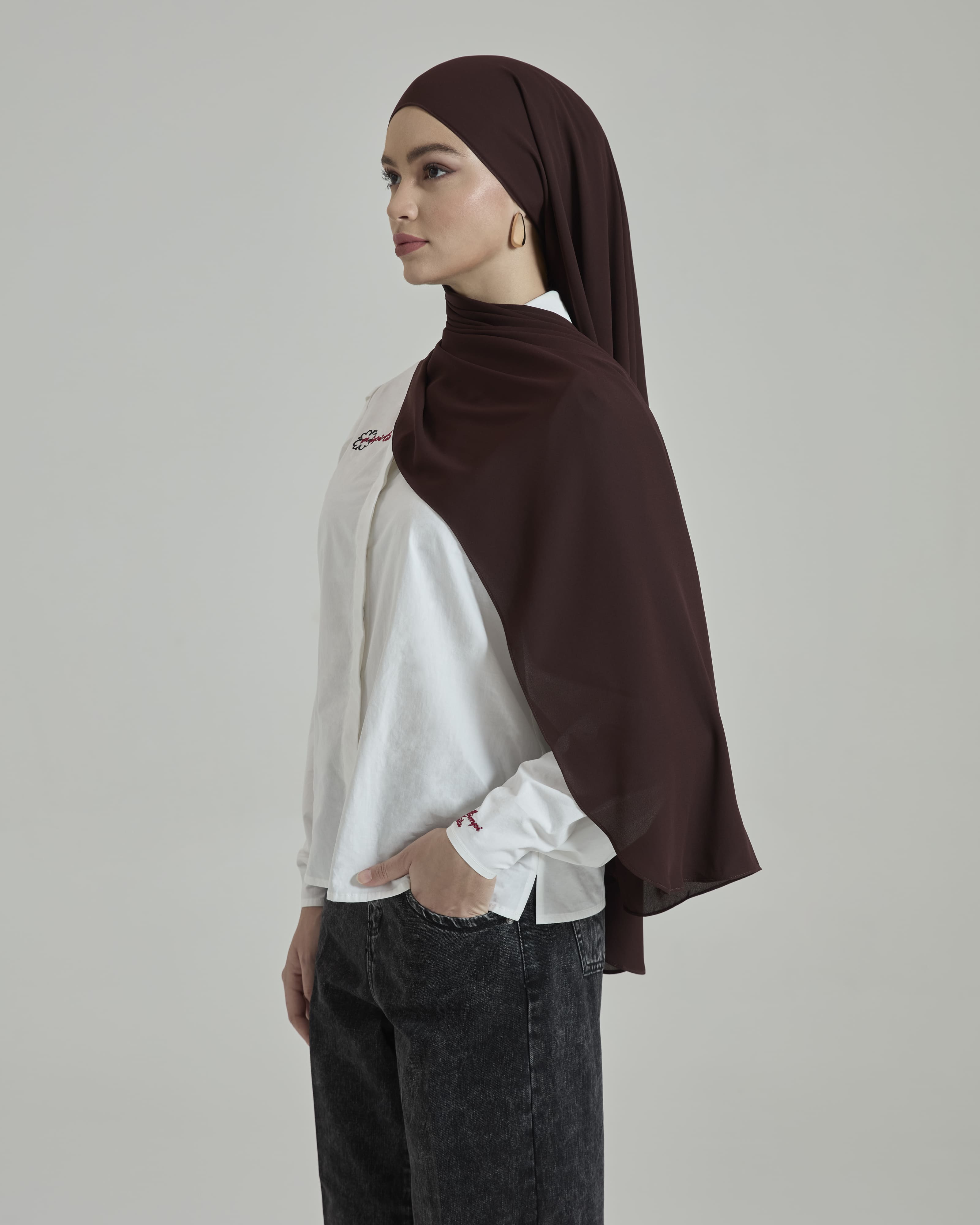 Leya Dark Brown Embroidered Chiffon Shawl