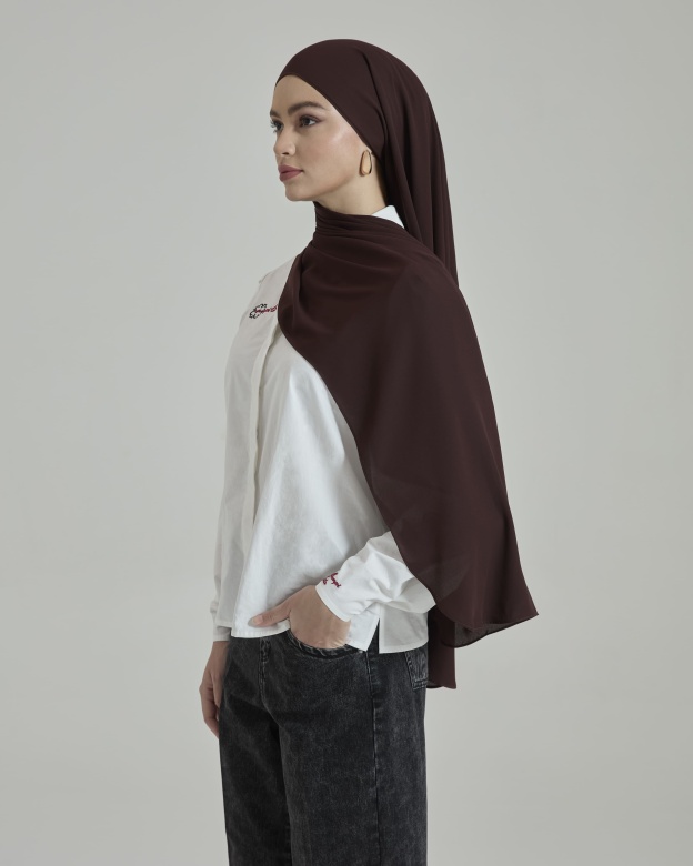 Leya Dark Brown Embroidered Chiffon Shawl