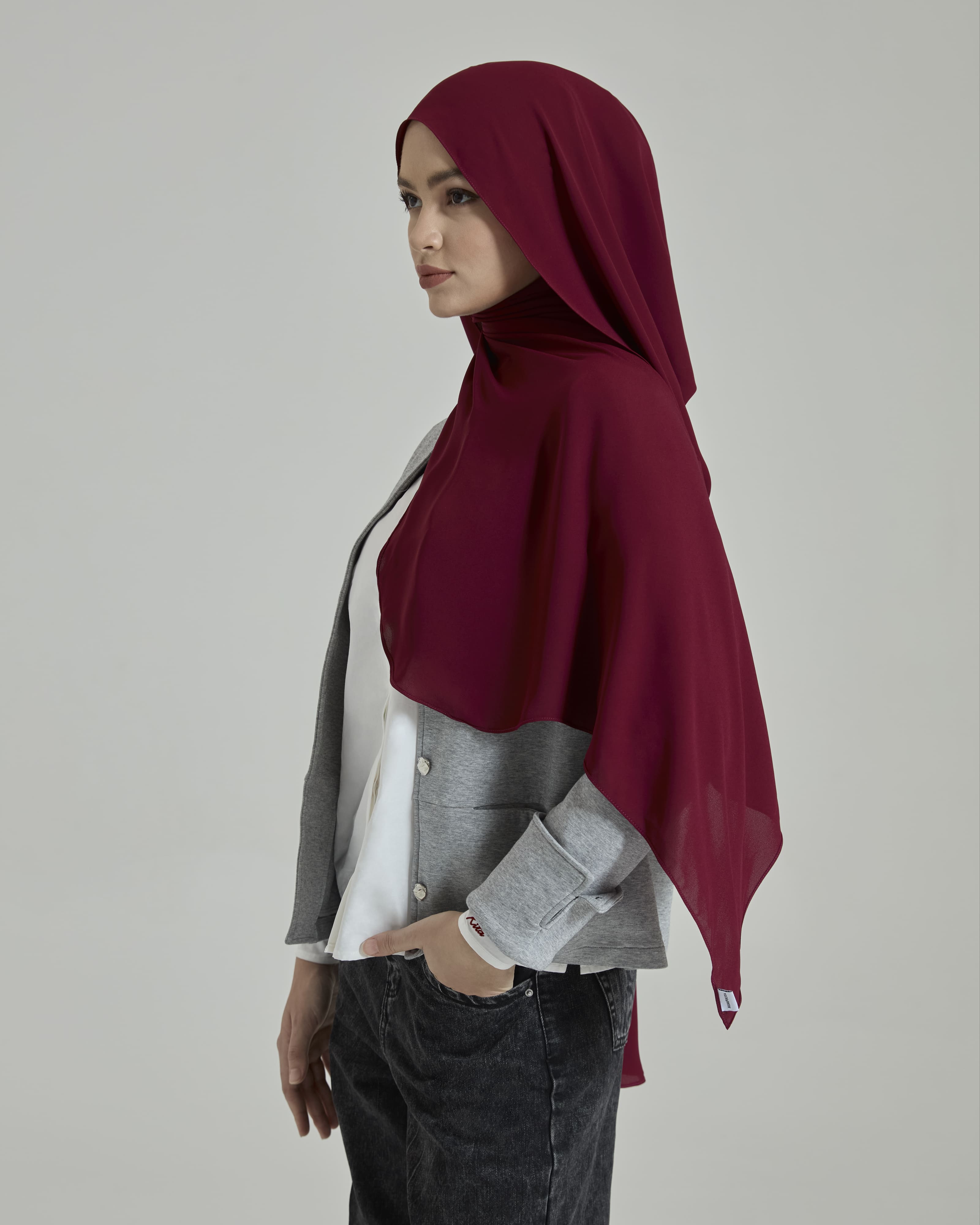 Leya Maroon Embroidered Chiffon Shawl