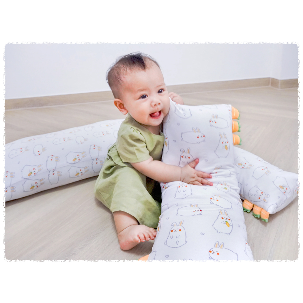 Cho Momo Bunny Pillow Extra Cover