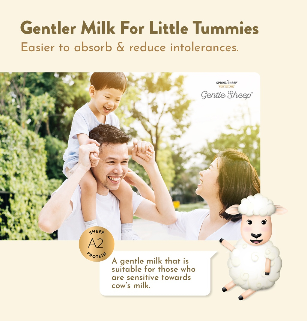 Spring Sheep Gentle Sheep Toddler Milk Drink (Step 3) 700g