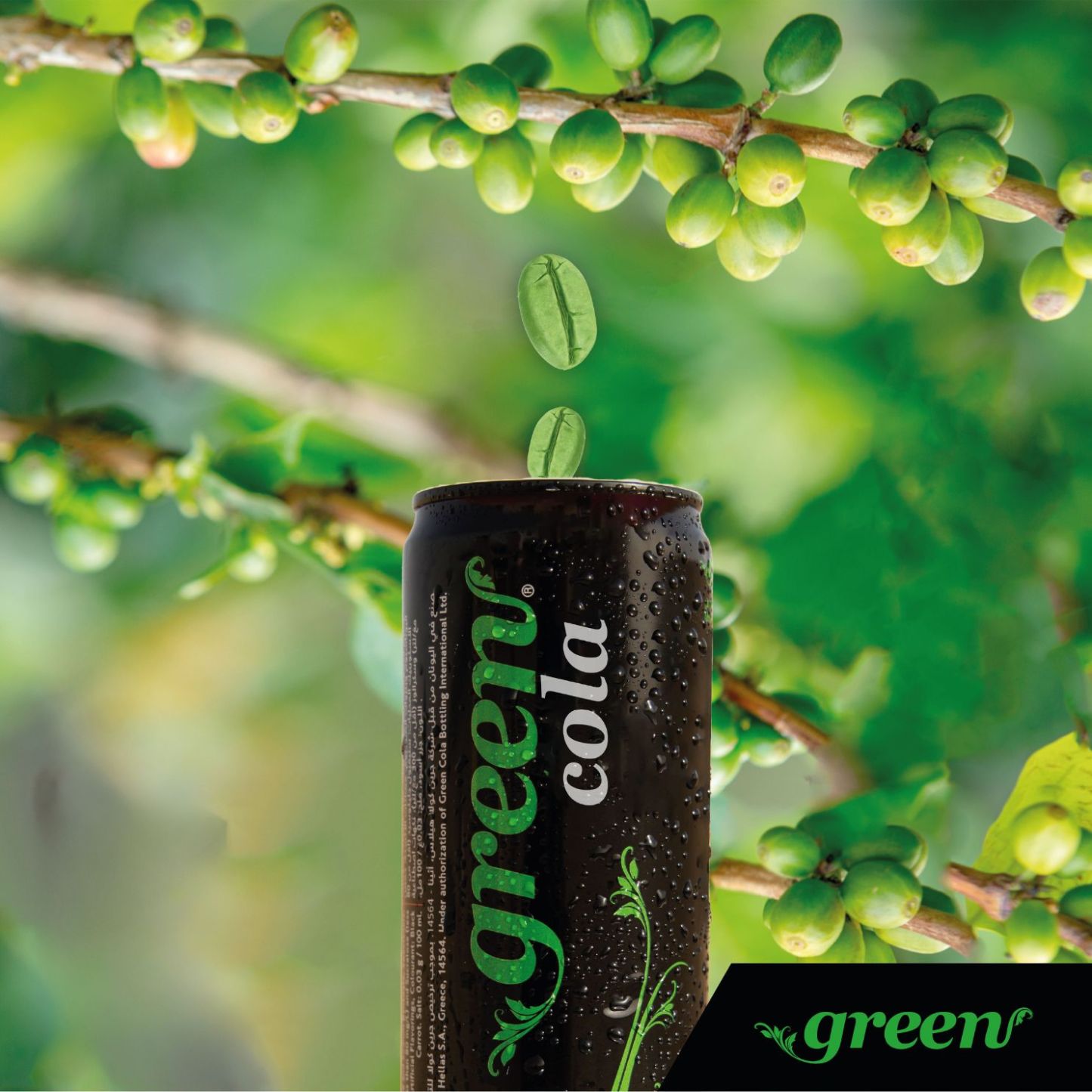 Green Cola 330ml – Naturally Sweetened Sodas - No Sugar Added