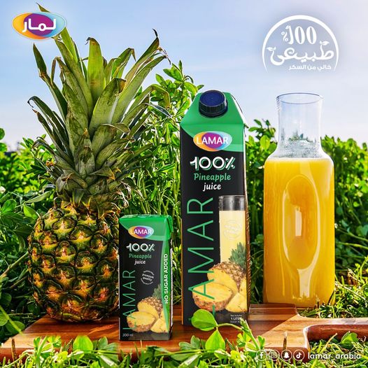 Lamar Pineapple Juice 1 Lt X 12