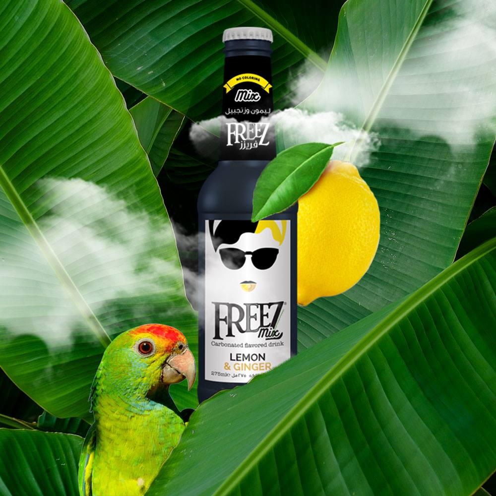 Freez Mix Lemon Ginger Soda Drink 275ml x 24