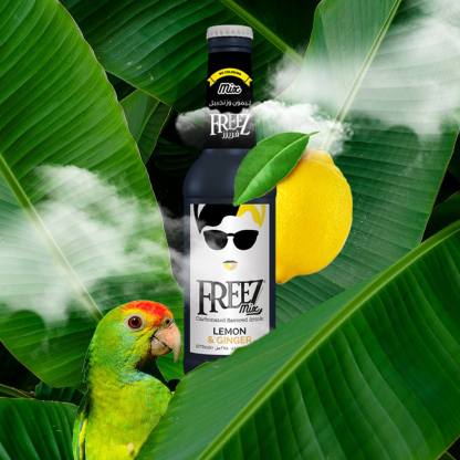 Freez Mix Lemon Ginger Soda Drink 275ml x 24