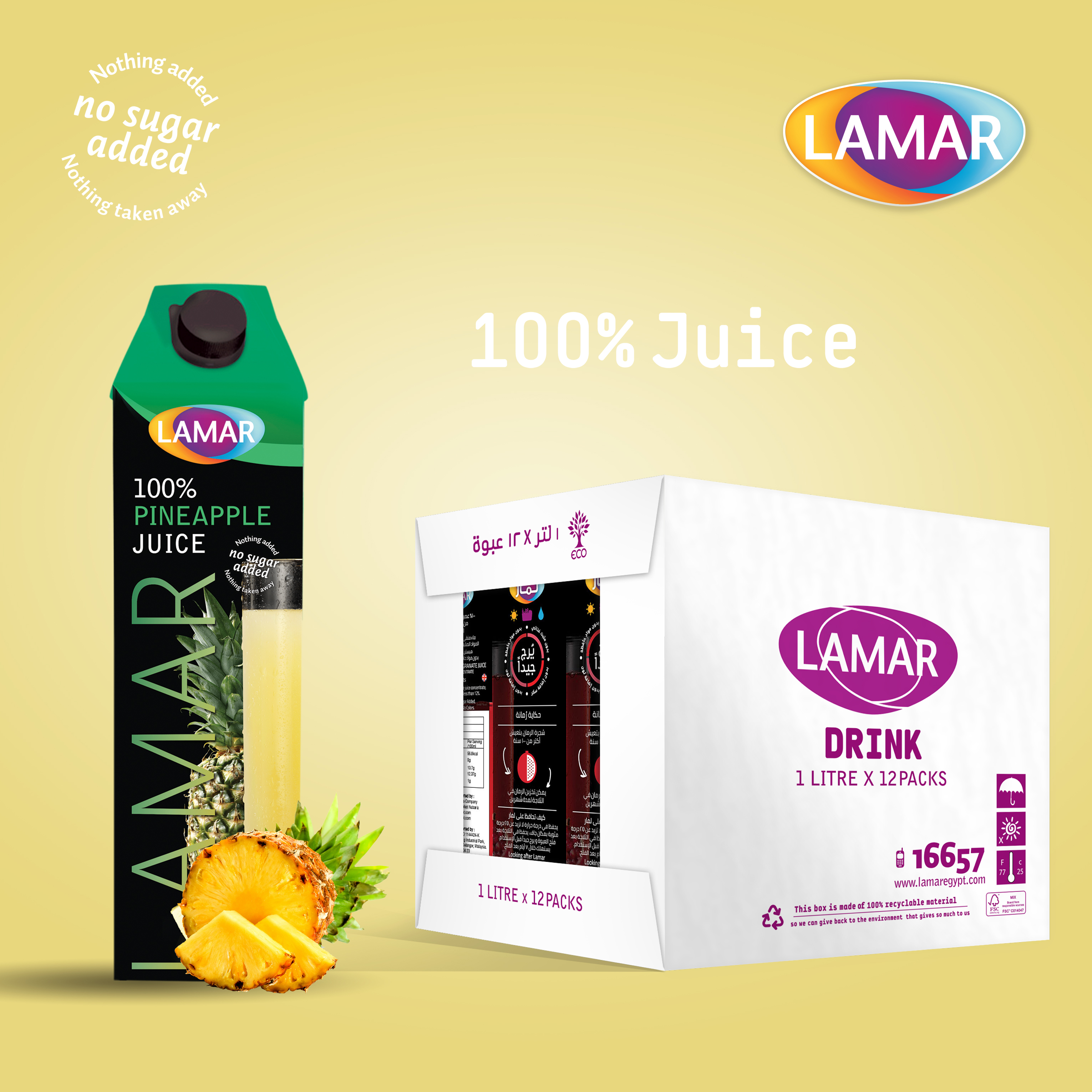Lamar Pineapple Juice 1 Lt X 12