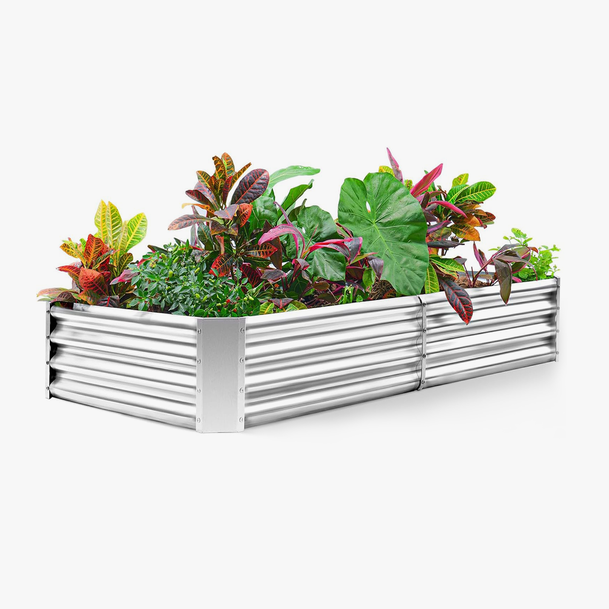 NS JULIET 6×3×1 ft Galvanized Vegetable  Raised Garden Bed Kit