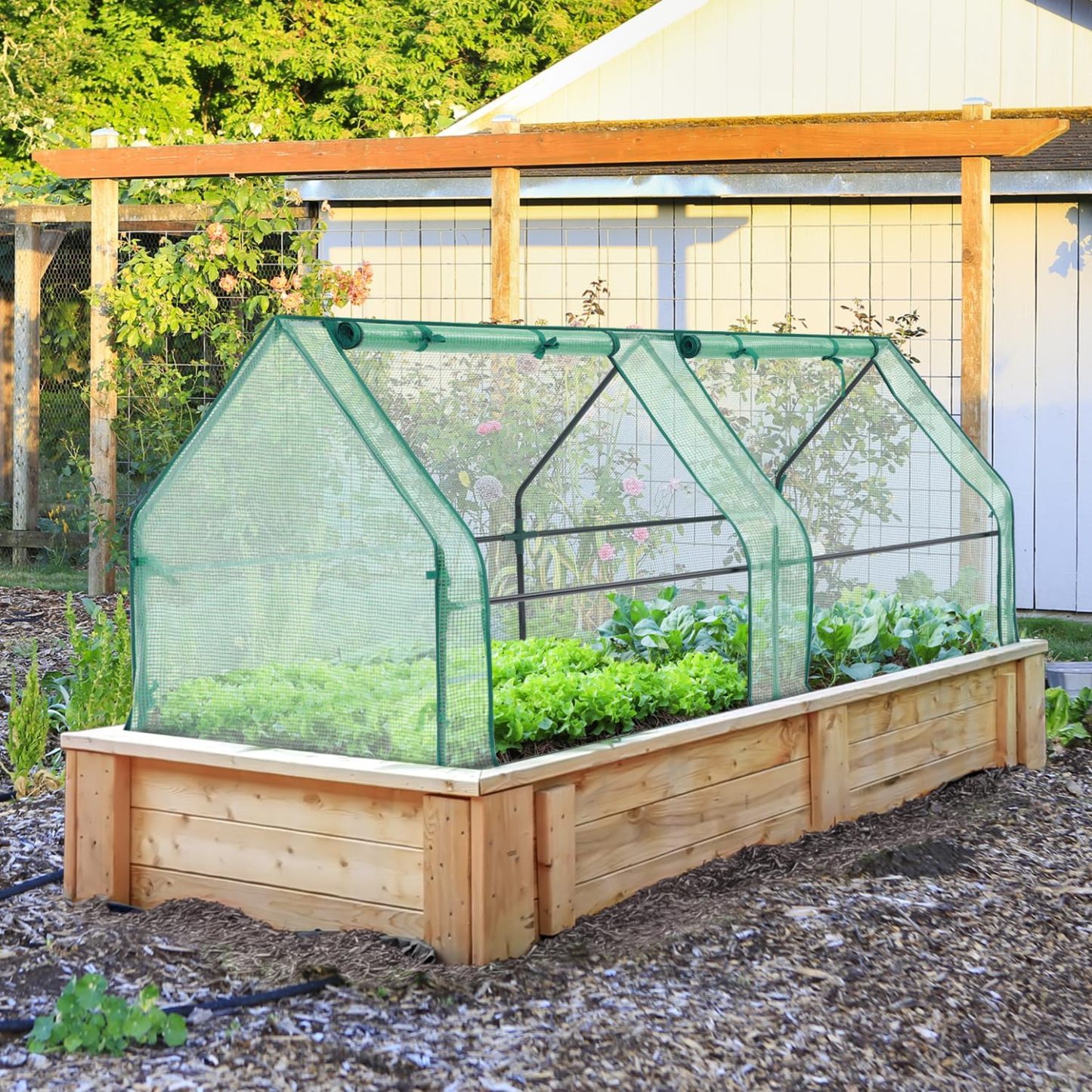 Mini Greenhouse For Raised Garden Bed