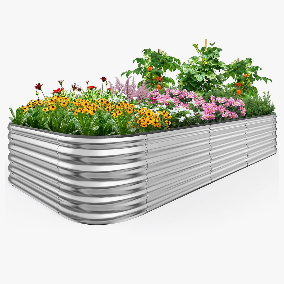 NS JULIET 24“ Tall 8x4x1.5ft Metal Raised Garden Bed for Vegetables Flowers
