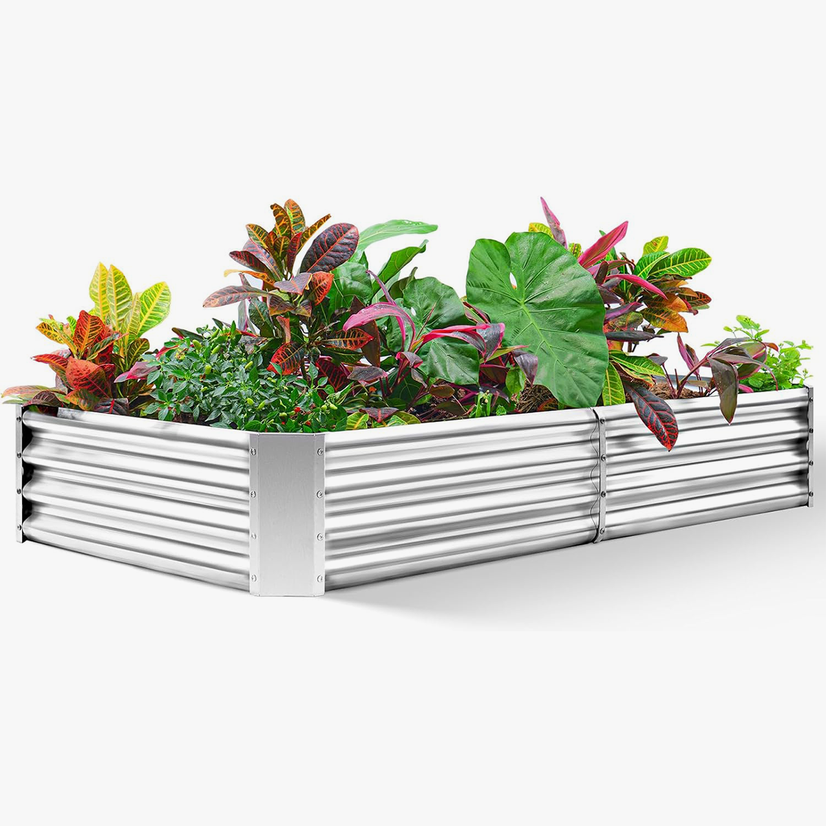 NS JULIET 8×4×1 ft Galvanized Vegetable Raised Garden Bed Kit