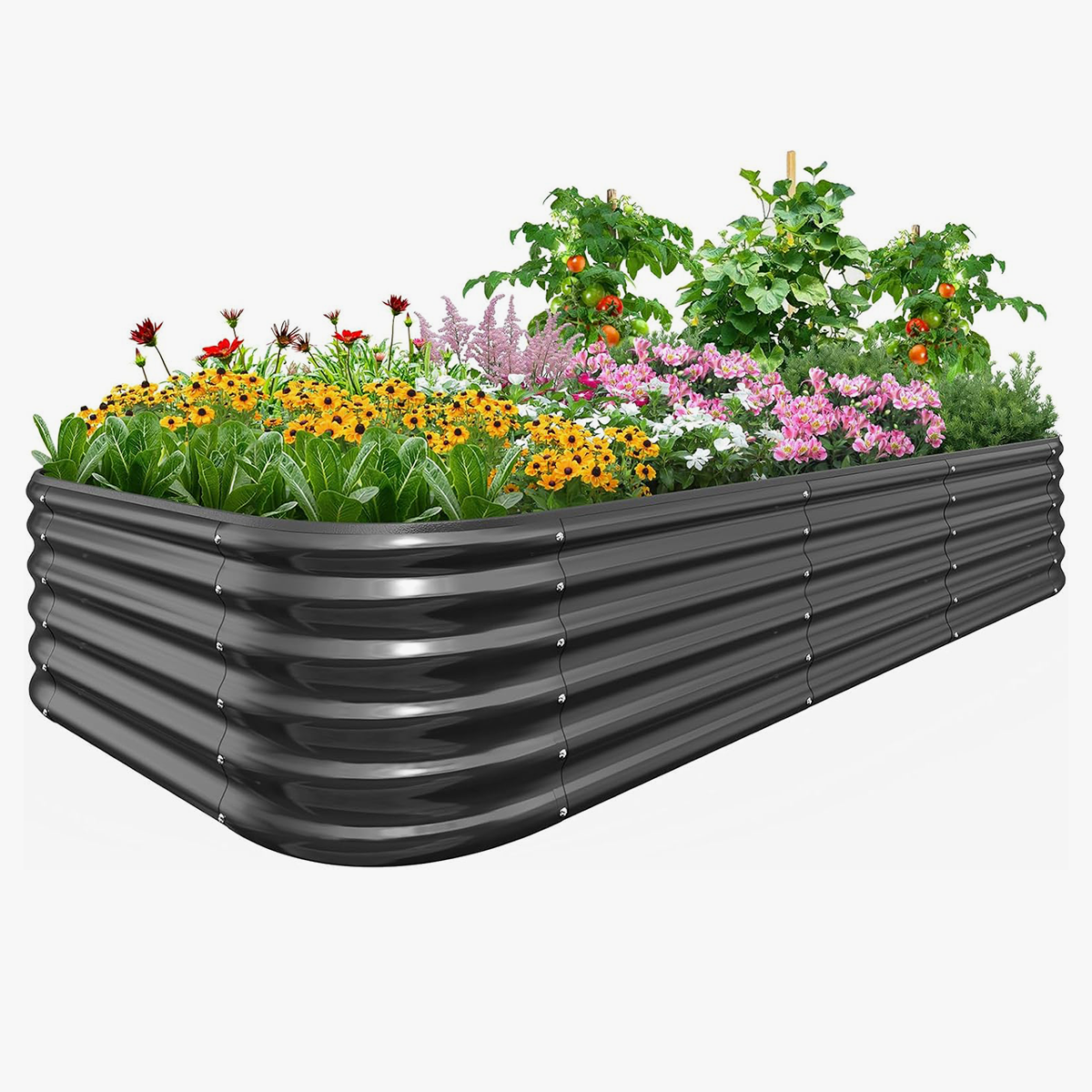 NS JULIET 17" Tall 8x4x1.5ft Metal Raised Garden Bed for Vegetables Flowers