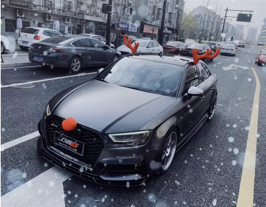車のクリスマス飾り