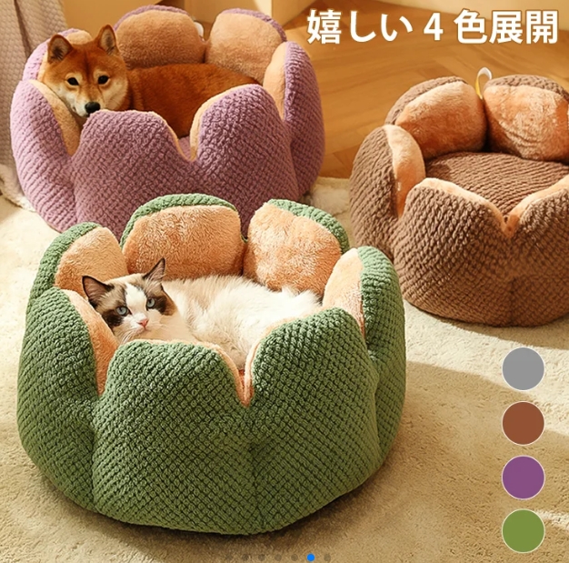 ペット ウォータールー