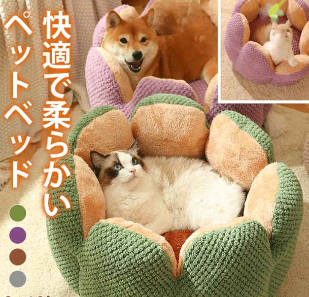ペット ウォータールー