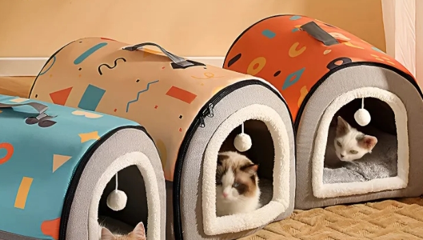 ペット ウォータールー