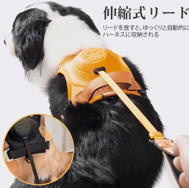 ストラップ