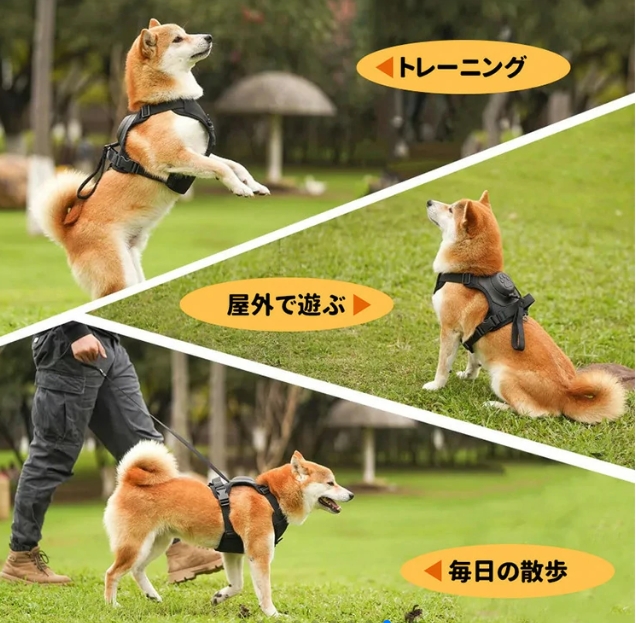 ストラップ