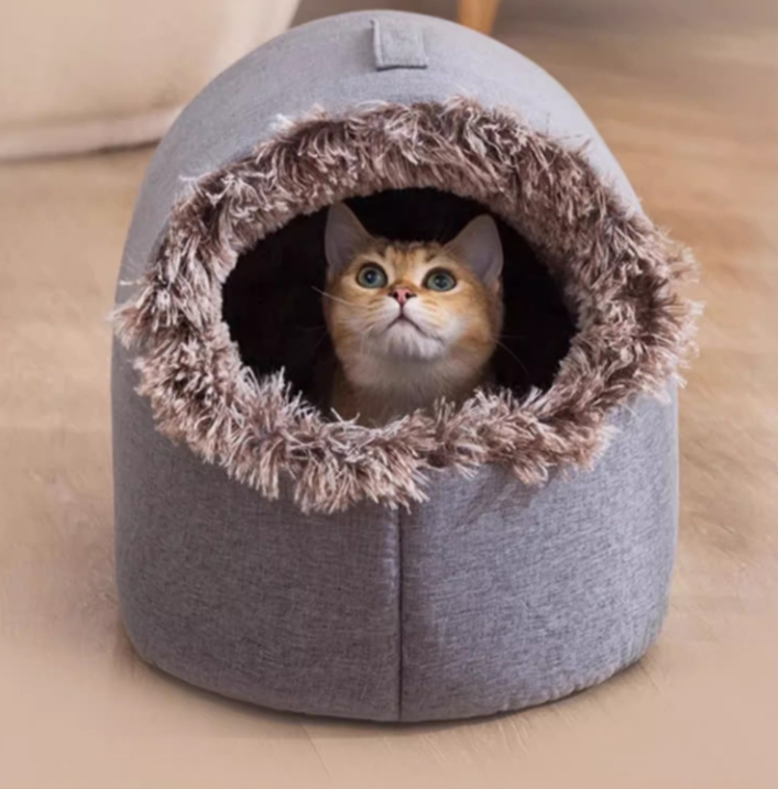 猫の巣
