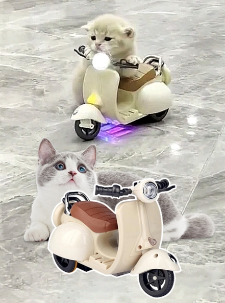ペットのスタントカー
