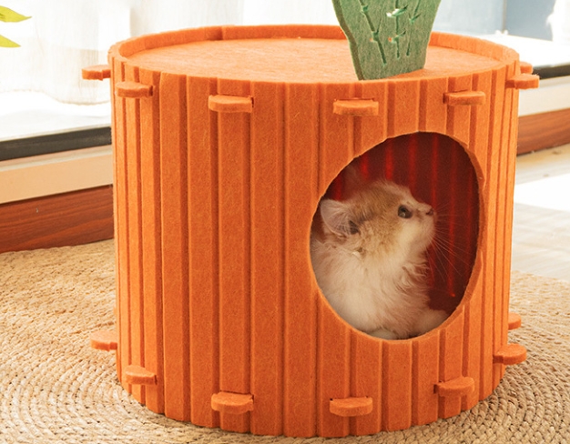猫の巣