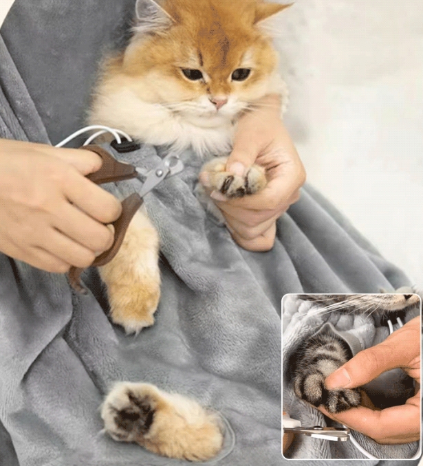 ジャーキング・キャット・クロージング