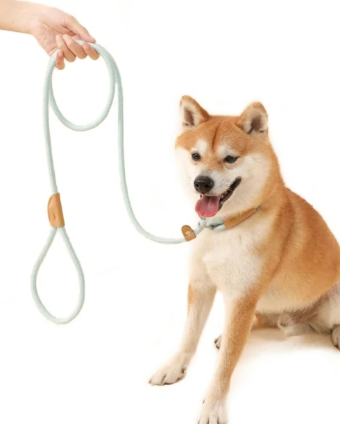 犬用リード