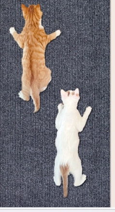 猫用ハイハイマット