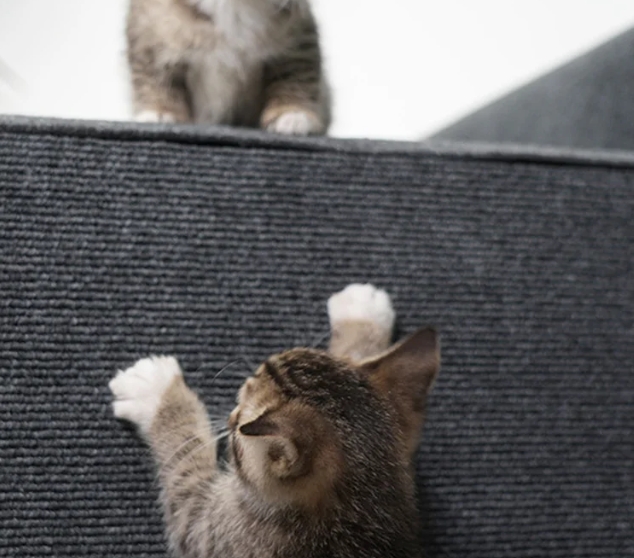 猫用ハイハイマット
