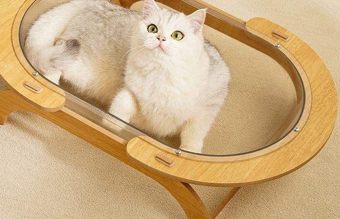 猫砂