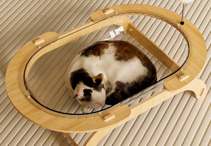 猫砂
