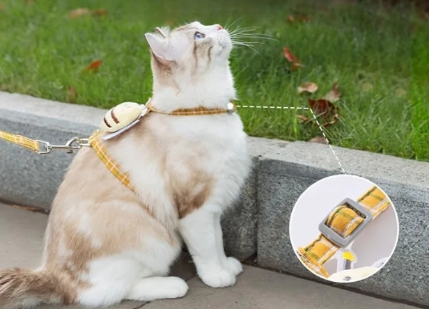 ストラップ