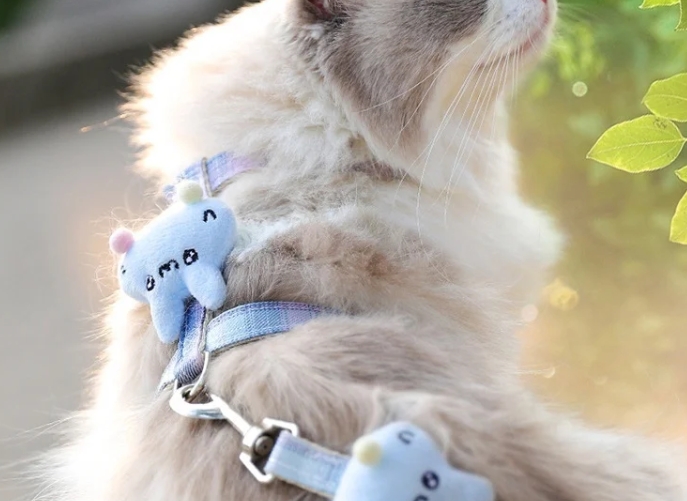 キャットウォーキングリーシュ