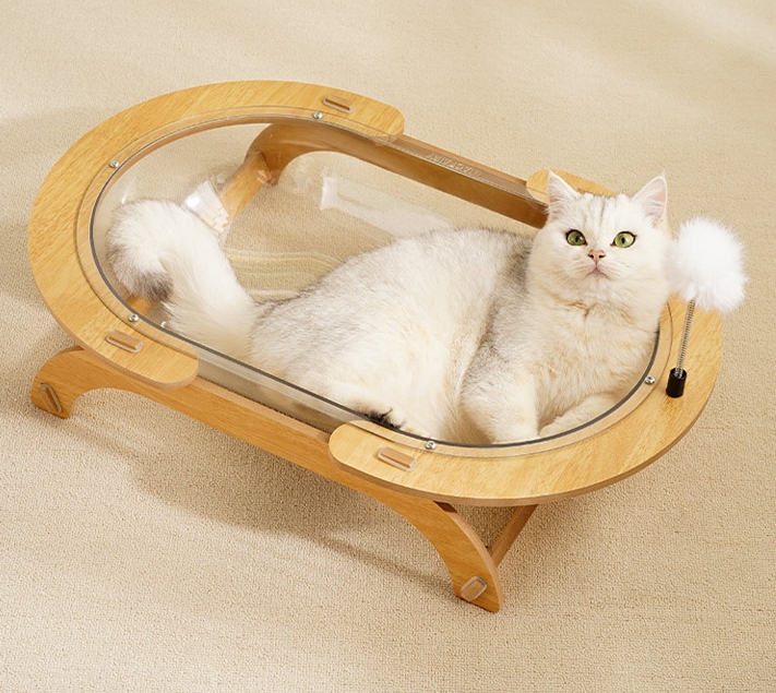 猫の巣