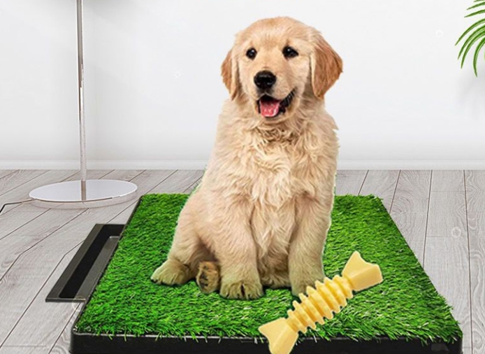 犬用トイレ
